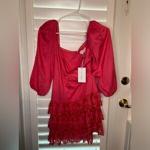 Pink Lovers + Friends dress NEW